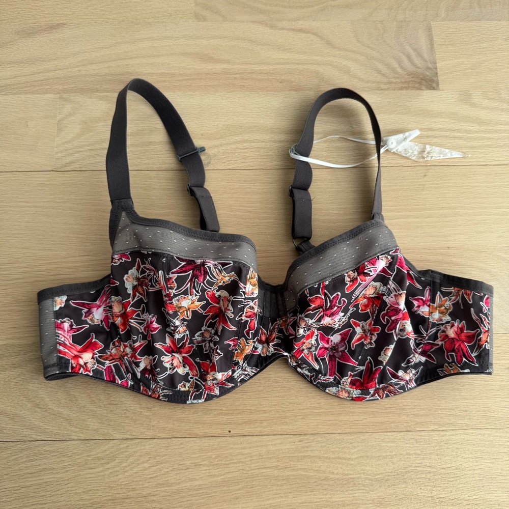 ELOMI Aquila Bra Women’s size 40D